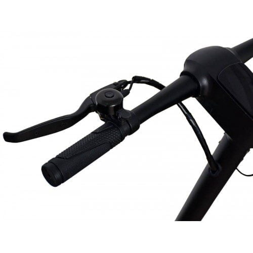 Trotineta electrica ROTAKT TE-400