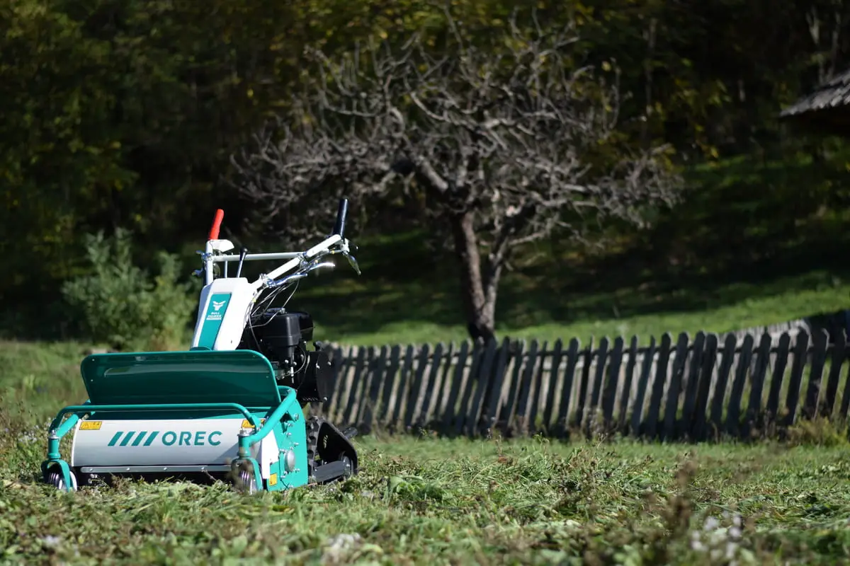 Beneficiile compostului si cum sa-l produci in mod eficient