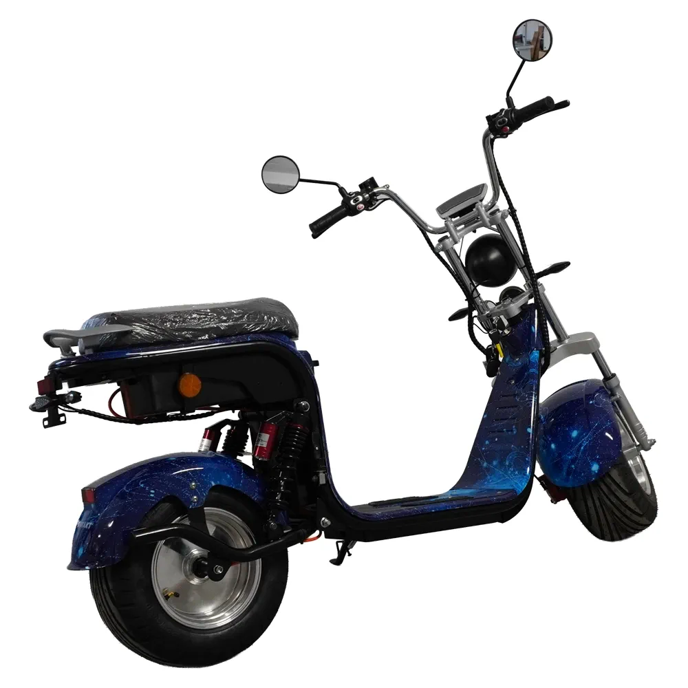 Rotakt Cruiser – Scuter Electric 1500W, 2 Locuri, 25 km/h - imagine 3