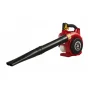 Turbosuflanta de aer Honda HHB25_EWT1